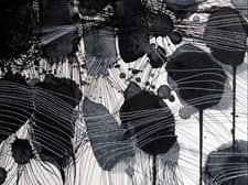 Melissa Zarem, Black and White Biennial